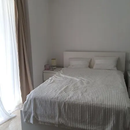 The House *
