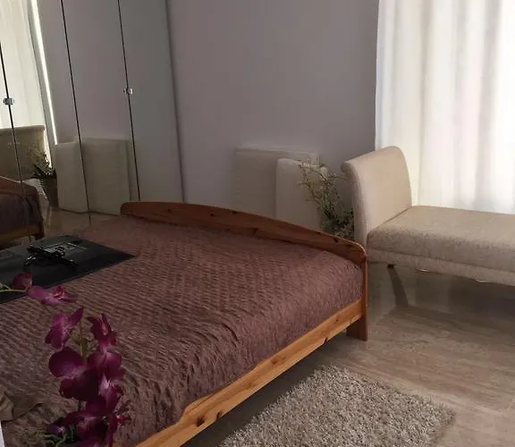 The House ヴィラ *